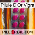 Vigra Gold Pill 09